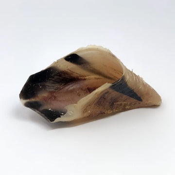 T. Forrest & Sons Hollow Hoof Natural Dog Treat